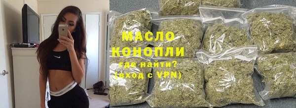 крисы Бородино